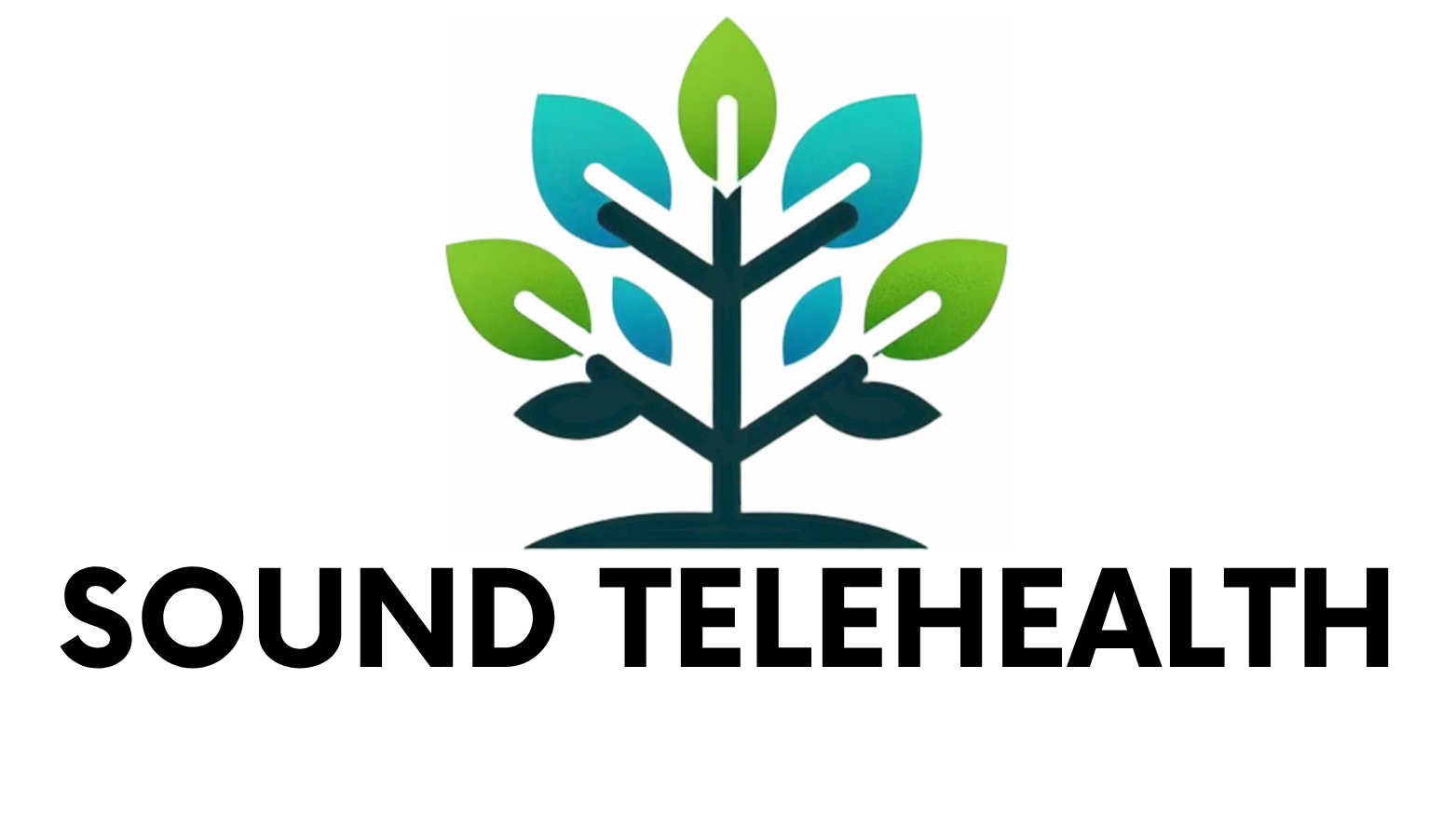 Sound Telehealth, PLLC